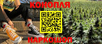 ГАЛЛЮЦИНОГЕННЫЕ ГРИБЫ Гатчина