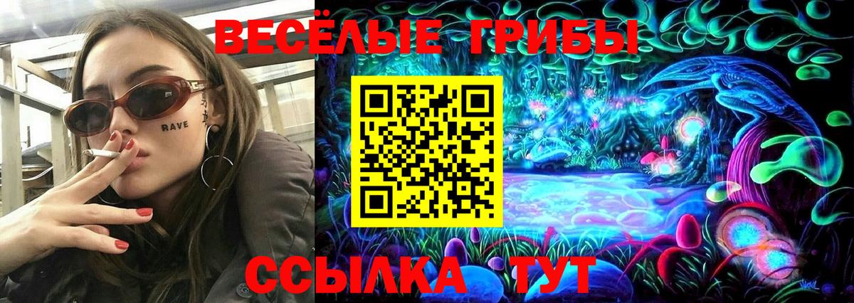 Галлюциногенные грибы Psilocybine cubensis  Псилоцибиновые грибы Psilocybine cubensis  Вход с VPN  Новодвинск 